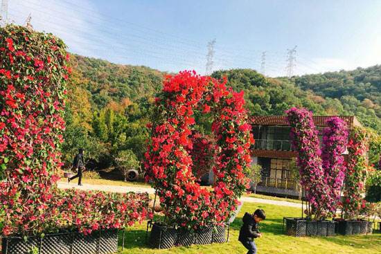 仿真植物景观绿雕 城市景观设计的绿色新解法